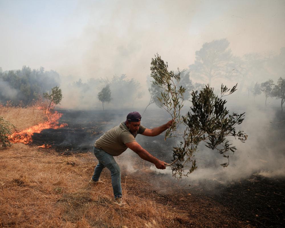 Olive Oil Prices Rise Again as European Crops Suffer Heat