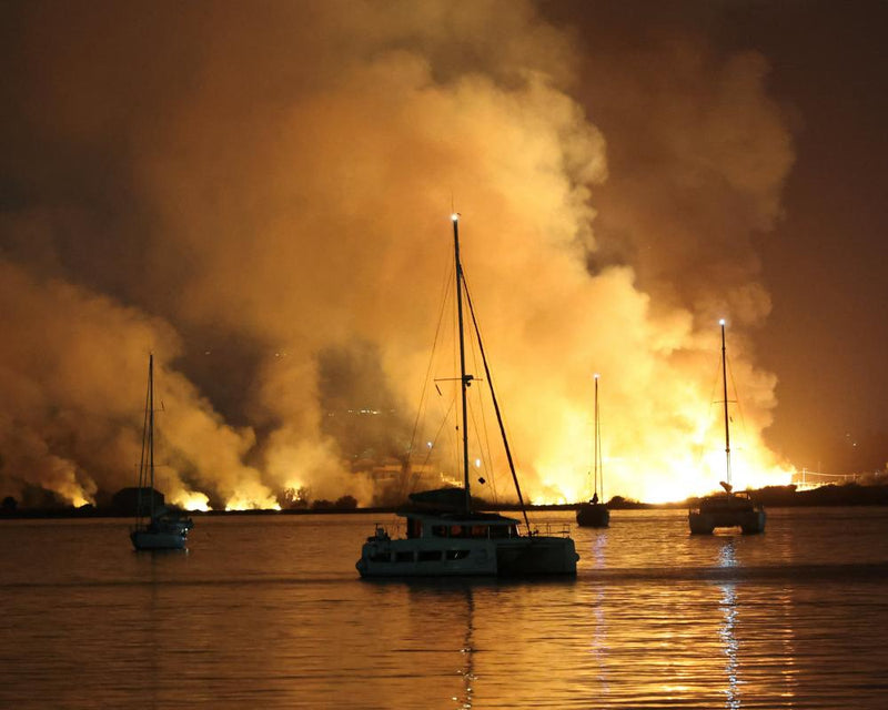 UN Warns Heatwaves and Wildfires Hinder Air Quality Gains