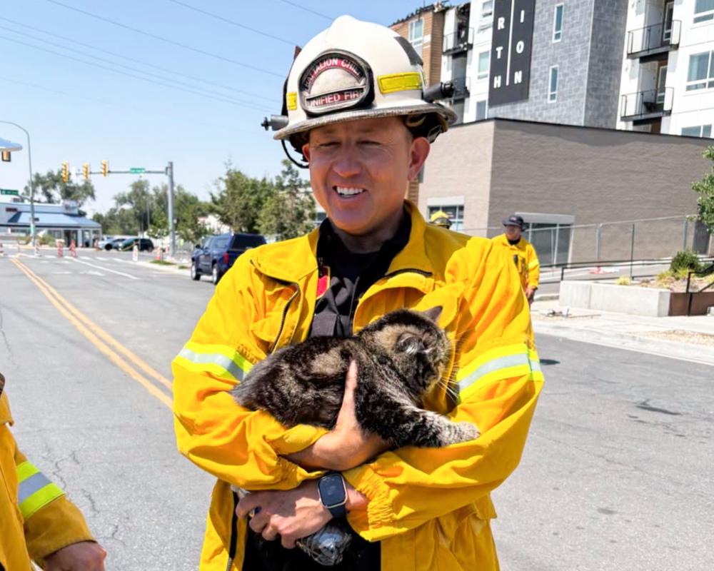 Toast the Cat Survives Utah Apartment Fire in Closet for 3 Days