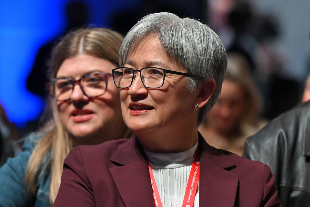 Penny Wong Slams Hanson's Monoculture Vision as Melancholic Fantasy