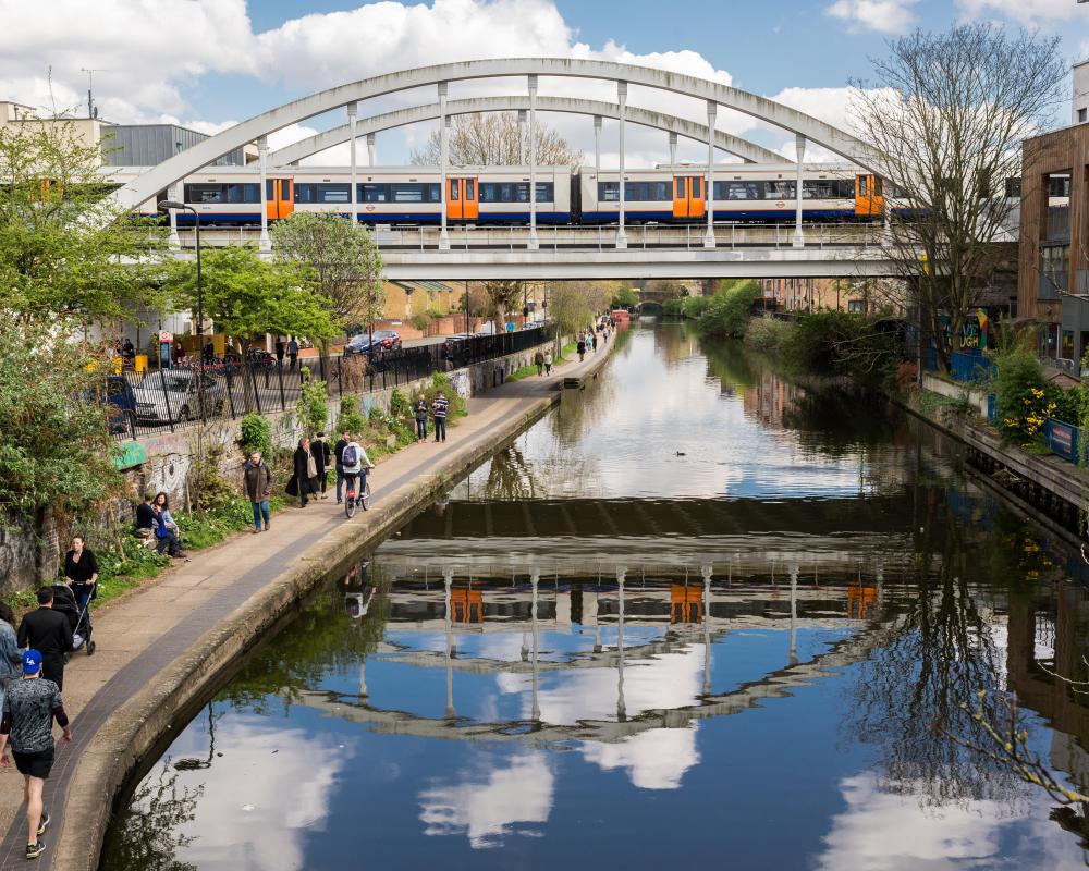 Cities Become a Surprising Refuge for Threatened UK Wildflowers