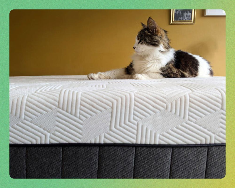 Best Mattresses in the UK: 18 Tested Picks for Better Sleep