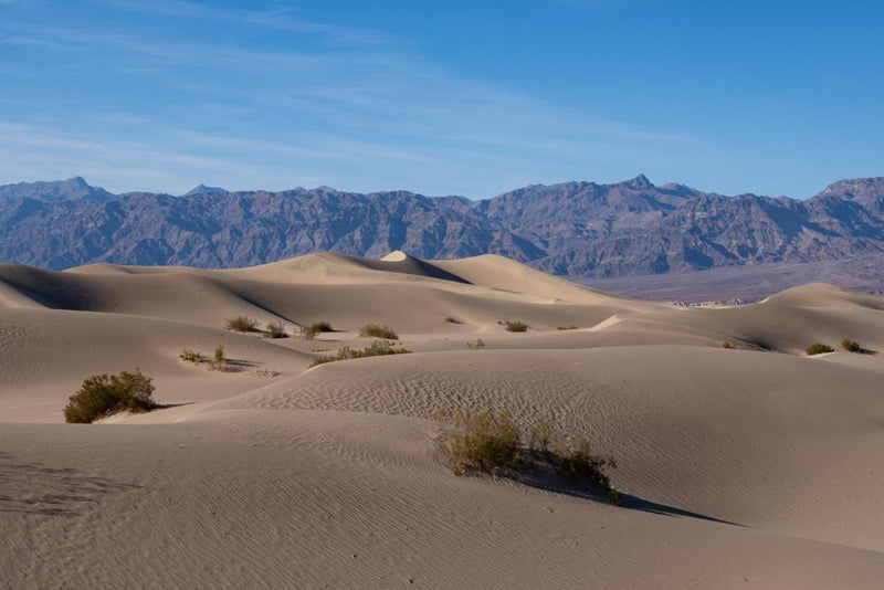 Death Valley Heat Claims Life: Essential Safety Tips for Desert Hiking