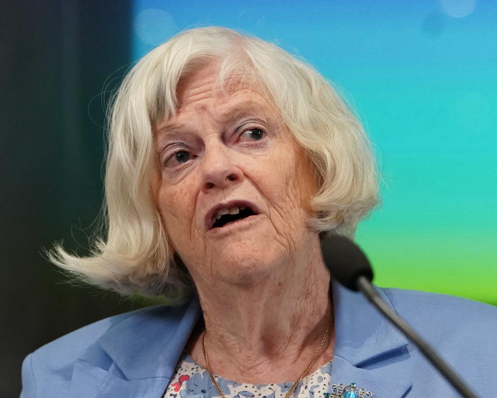 Ann Widdecombe Murder Suspect Probed in Farage Burglary