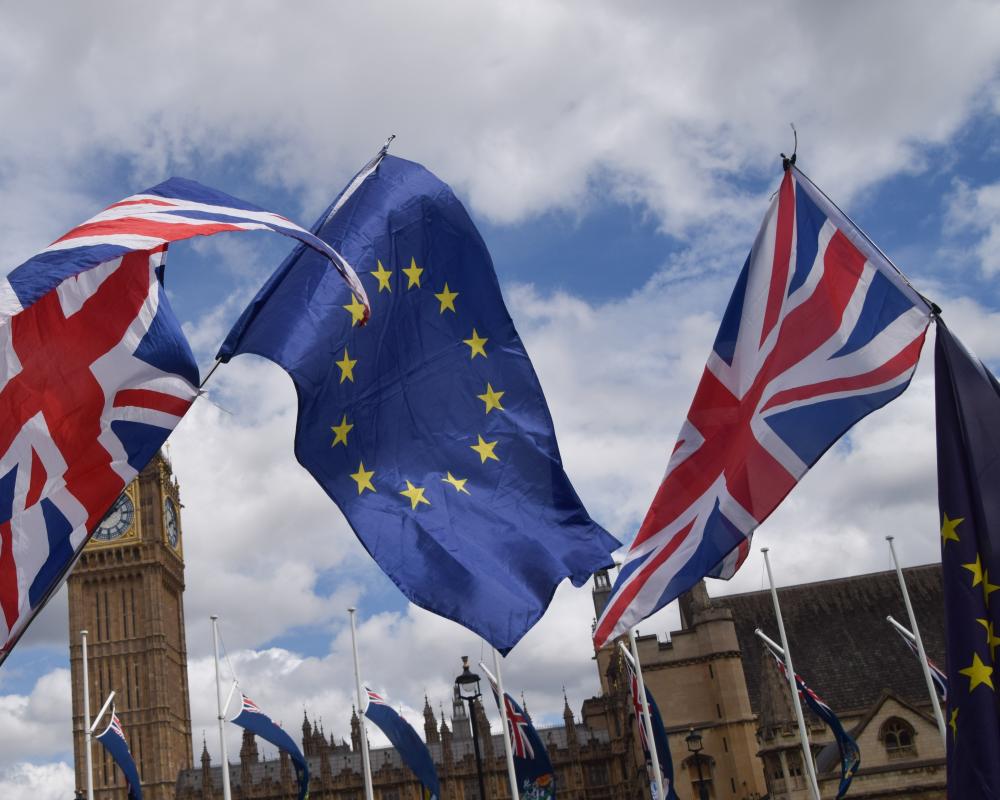 No 10 Gathers Evidence on Public Support for Rejoining the EU