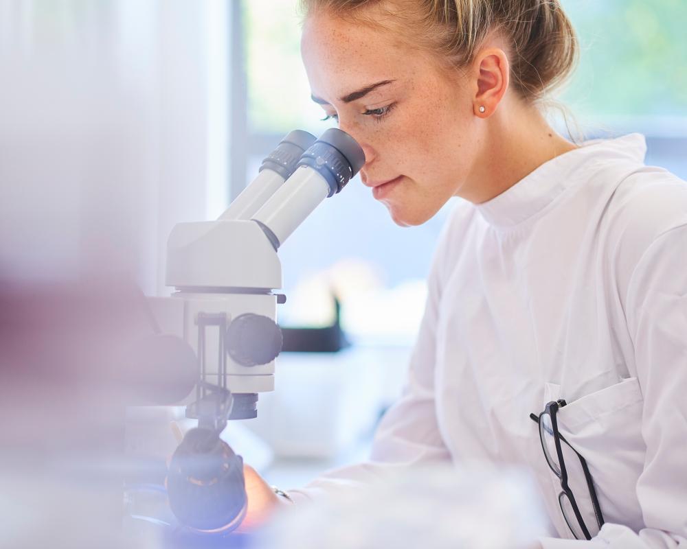 Futureproof Your Career With an AI-Resistant Degree
