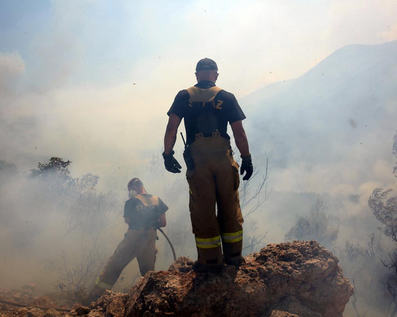 Wildfire Threat Requires Wartime Mindset for Climate Action