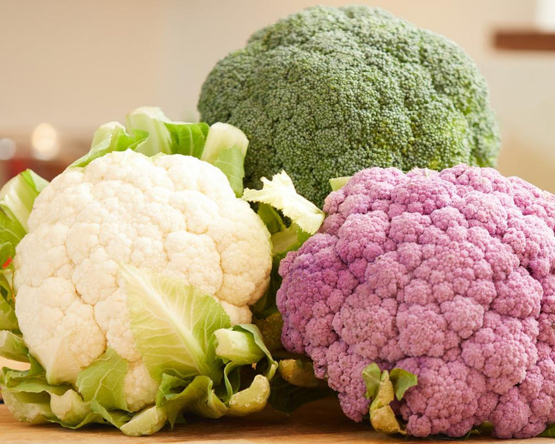UK Heatwaves Force RHS to Stop Cauliflower Growing Advice
