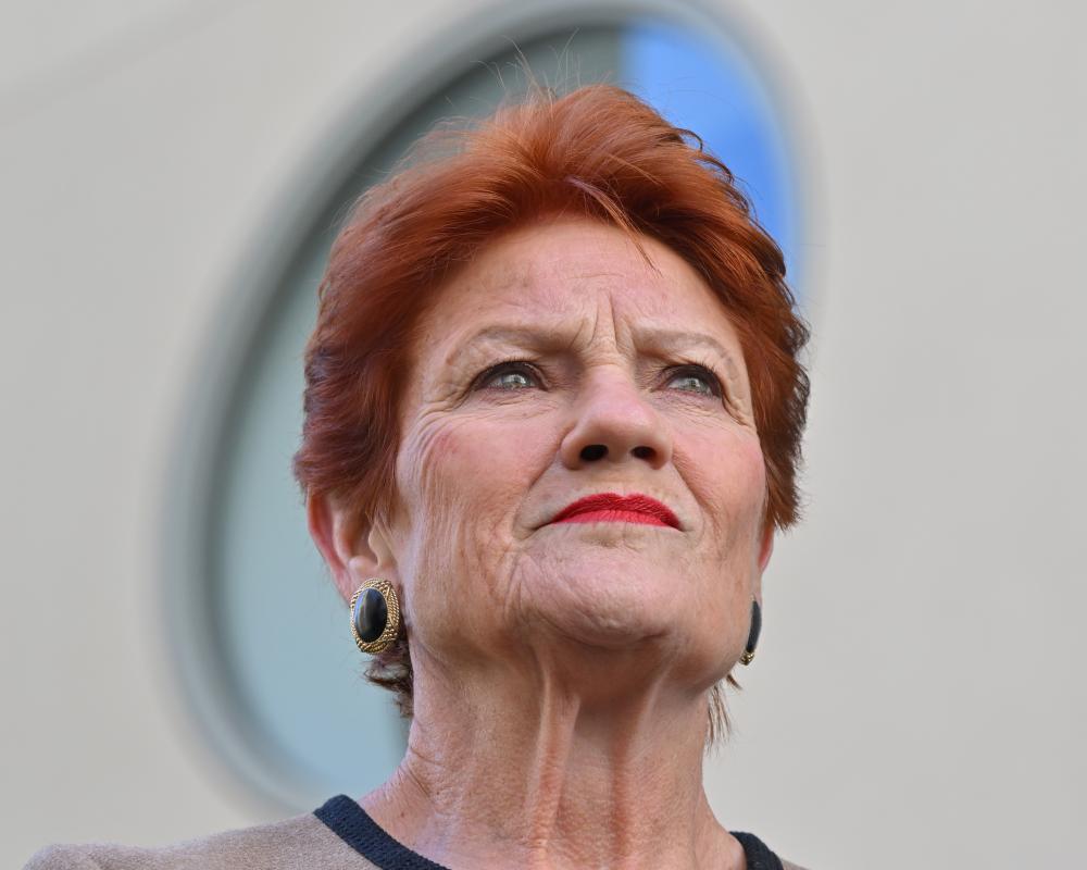 Australia News: Hanson Gas Policy Flip-Flop and Taser Incident