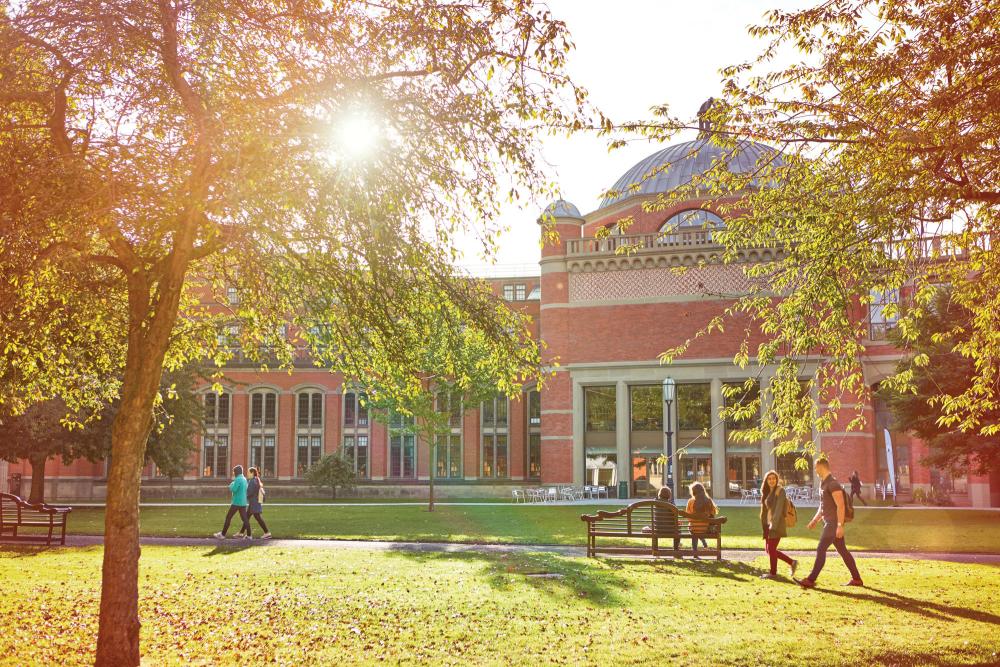 Online MSc in International Business for Global Leaders