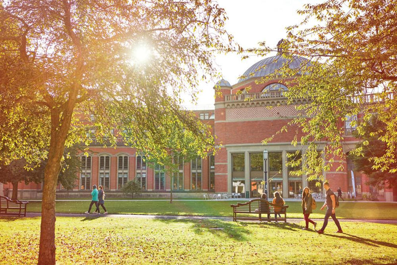Online MSc in International Business for Global Leaders