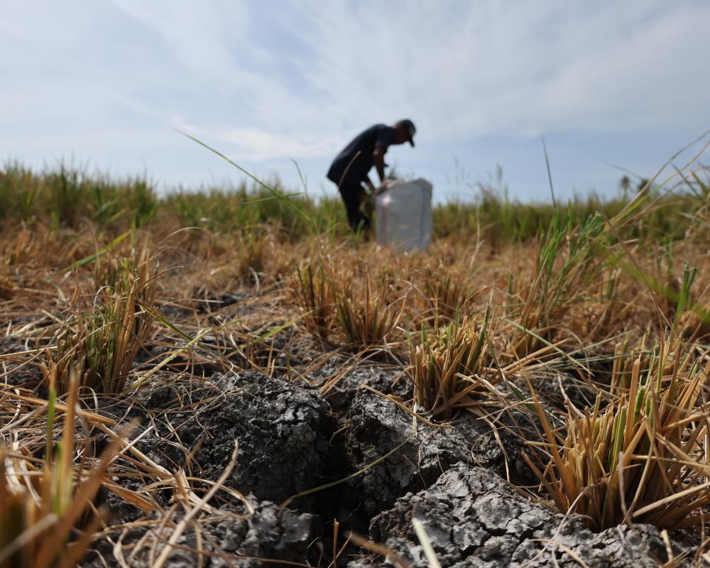 UN Warns Record El Niño Approaching: Heat Records to Shatter