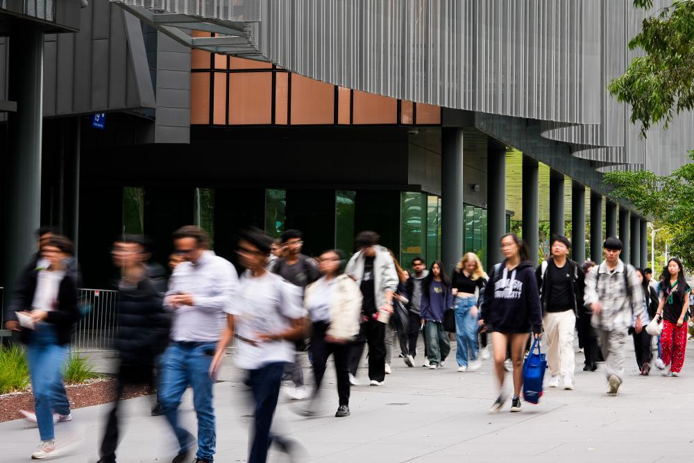 International Student Decline Hits Australian Universities Hard