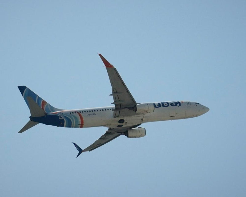 FlyDubai Emergency Landing in Saudi Arabia After Pilot Fight