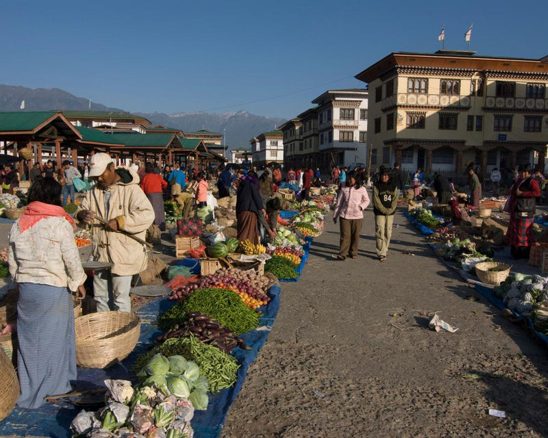 Conscious Food Summit in Bhutan Tackles Global Food Security