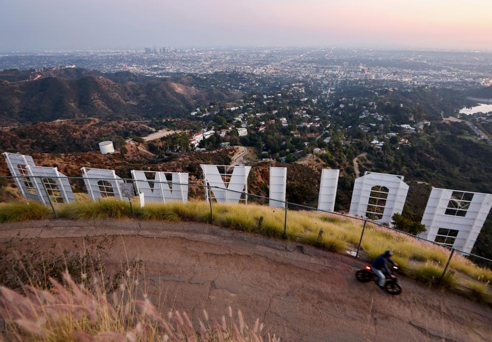 Hidden Wildlife Beneath the Hollywood Sign: Snakes, Bobcats