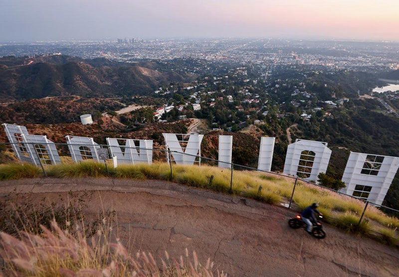 Hidden Wildlife Beneath the Hollywood Sign: Snakes, Bobcats