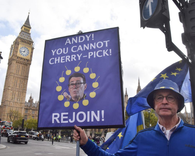 UK Think Tank: Rejoining EU Is Key to Handling Geopolitical Crises