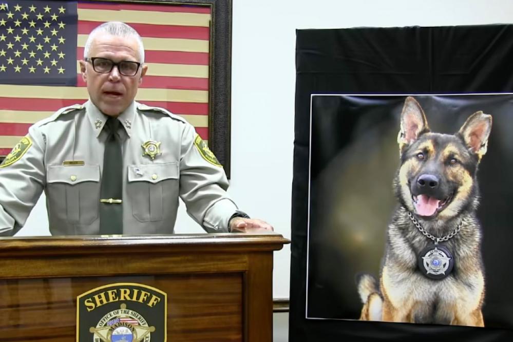 Police Dog Heatstroke Death Sparks Criminal Investigation in Tennessee
