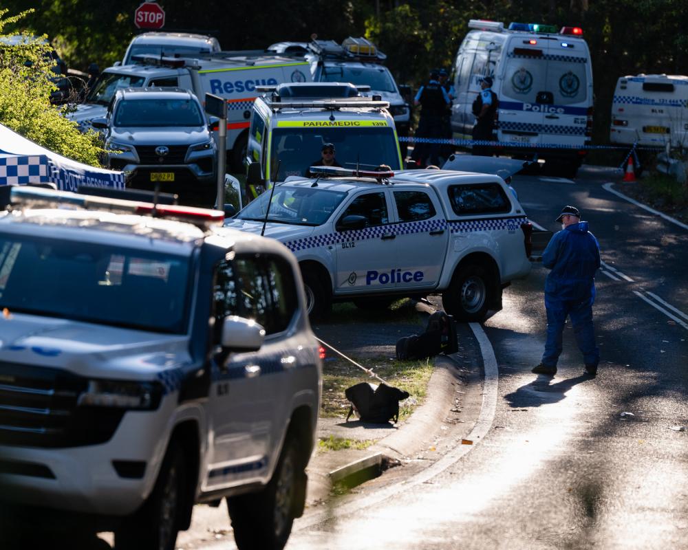 Second Child Dies After Alleged Blue Mountain Stabbing: Mother Faces