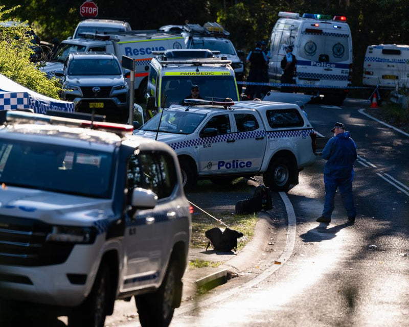 Second Child Dies After Alleged Blue Mountain Stabbing: Mother Faces