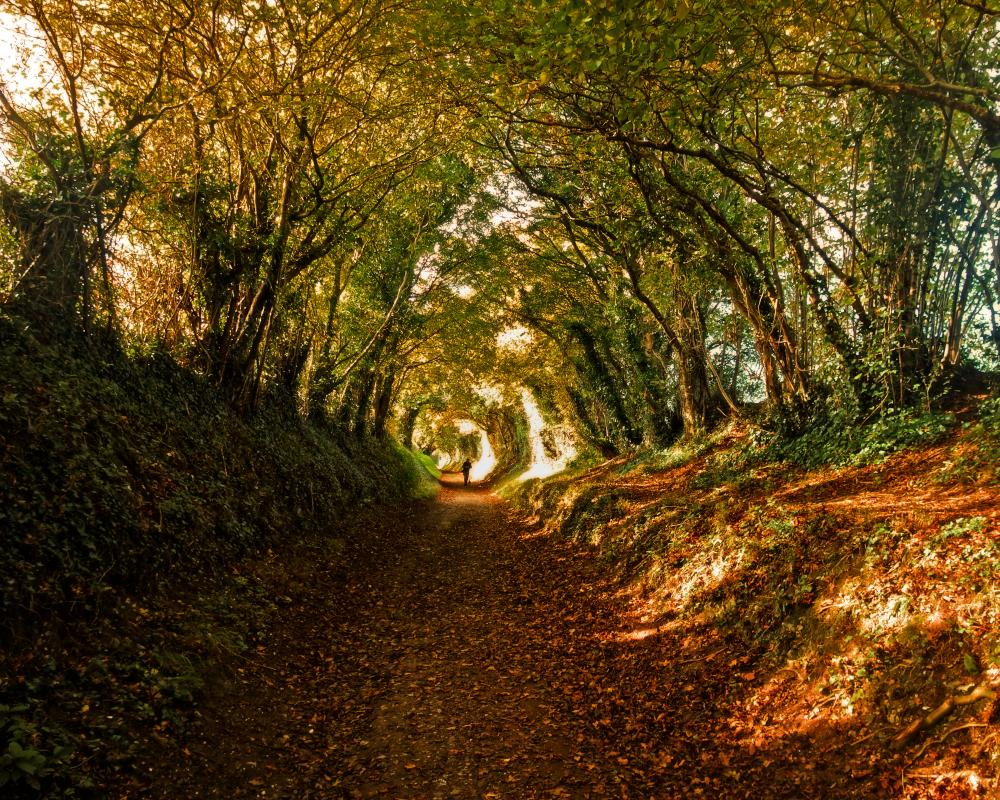 Autumn by Kate Mosse: A Tender Memoir of Time and Place