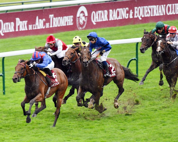 Lord Roxby Great St Wilfrid Handicap Tips at Ripon
