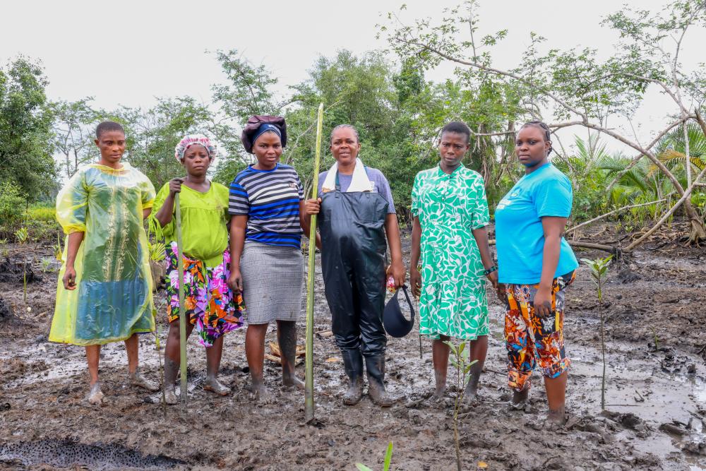 Women Restoring Mangrove Forests in Niger Delta Oil Region