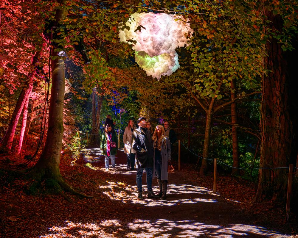 10 Best After-Dark Family Adventures in the UK for Enchanted Evenings