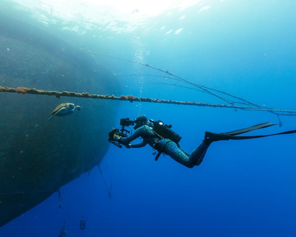 Blue Planet III Uses Cloudy Footage to Prove Authenticity in AI Era