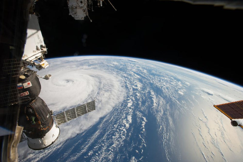 Typhoon Dim-sum: How Hong Kong Named a Storm After Food