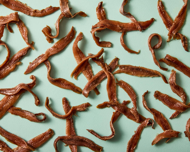 Best Supermarket Anchovies: Tasted, Rated & Ranked for 2025