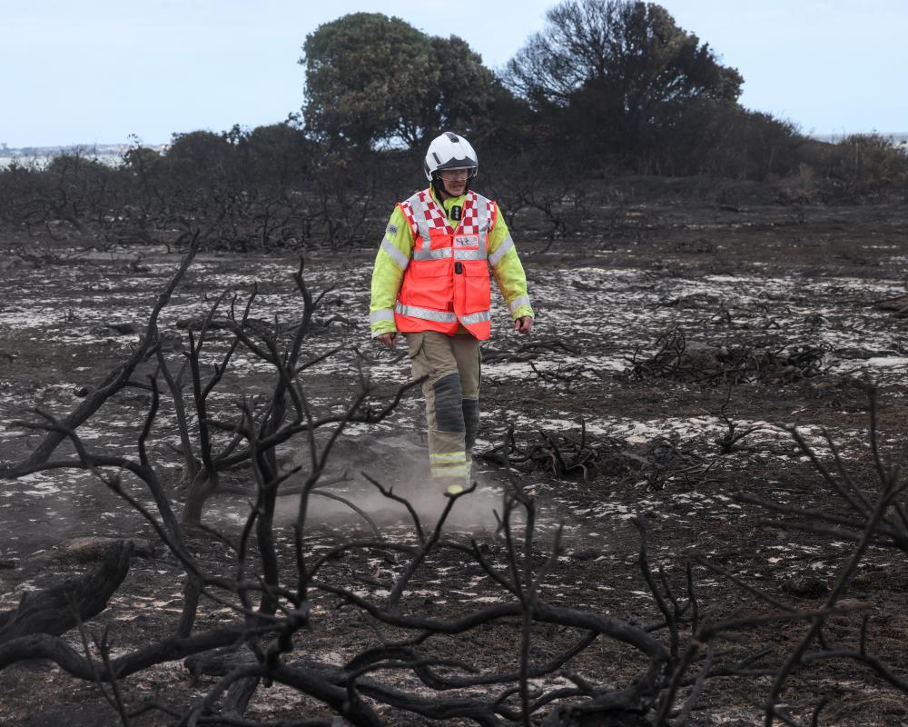 Wildfire Near Sizewell Nuclear Plant Devastates Suffolk Heathland