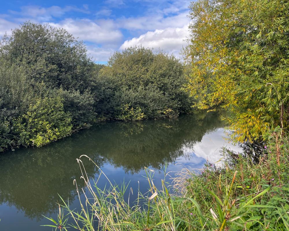 Battle of Stamford Bridge Site Found: Where Vikings Fell in 1066
