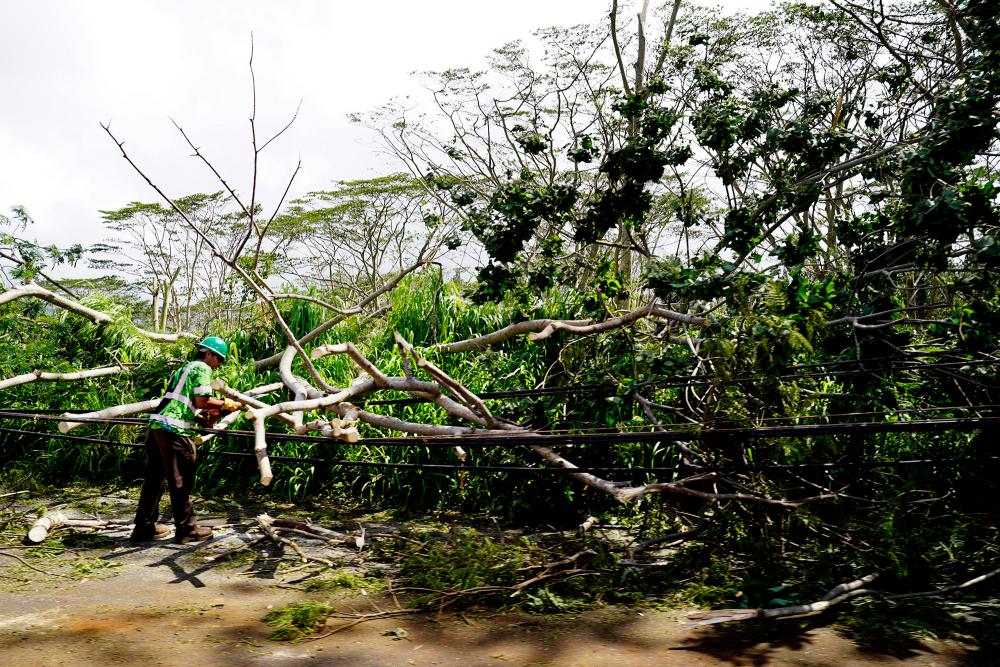 Hurricane Lowell Hawaii Damage: Kauai Power Outages & Recovery