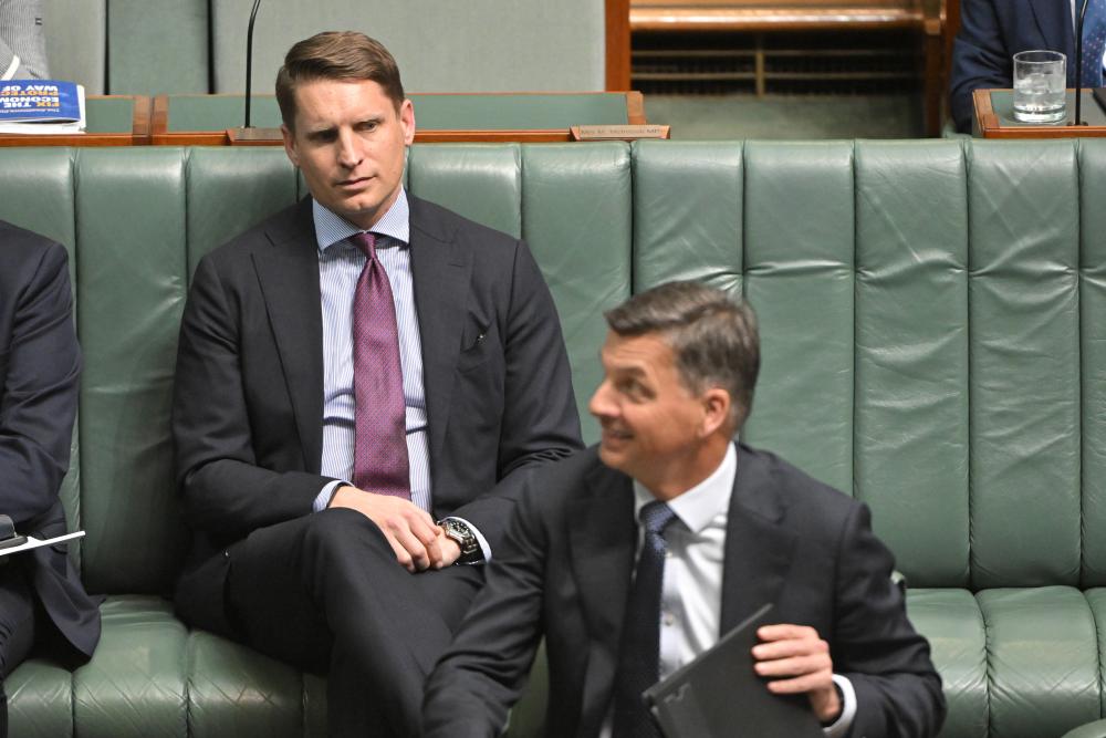 Andrew Hastie vs One Nation: Why Liberals Ignore His Attack Skills