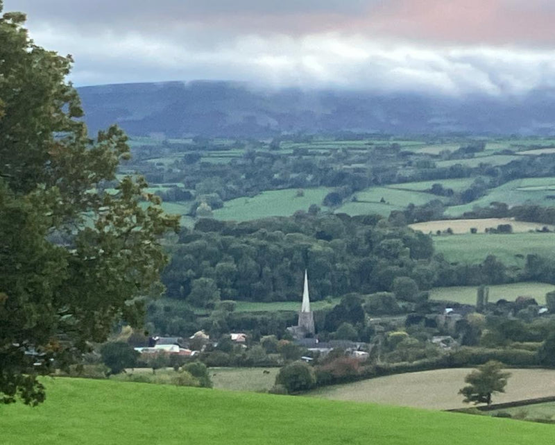 Country Diary: A Three-Day Perambulation Around My Own Parish