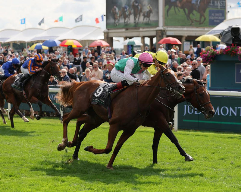 Item Stuns Favorites to Capture York International Stakes