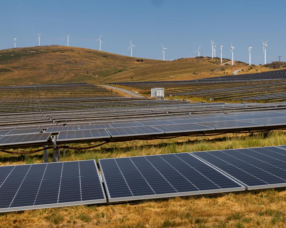 Techno-Optimism: Why Tech-Faithful Scientists Skip Climate Action