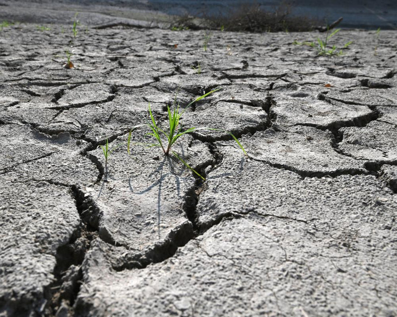 August Ties Hottest Month Ever as Global Heating Accelerates