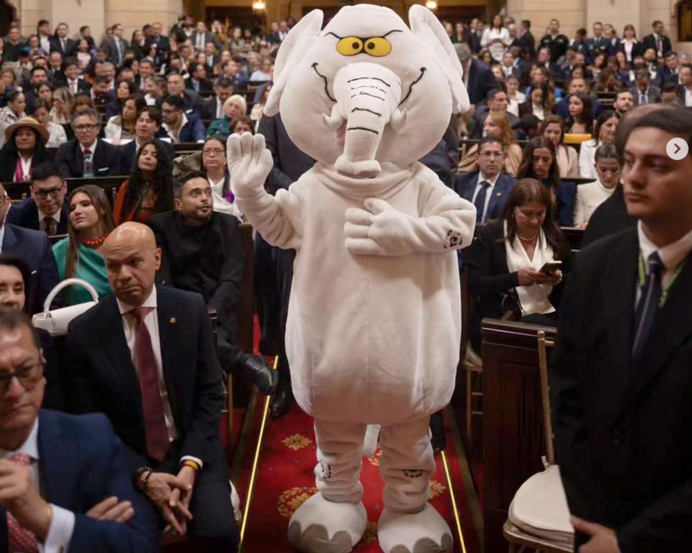 Colombia Swears In Anti-Corruption Activist as Elephant Senator