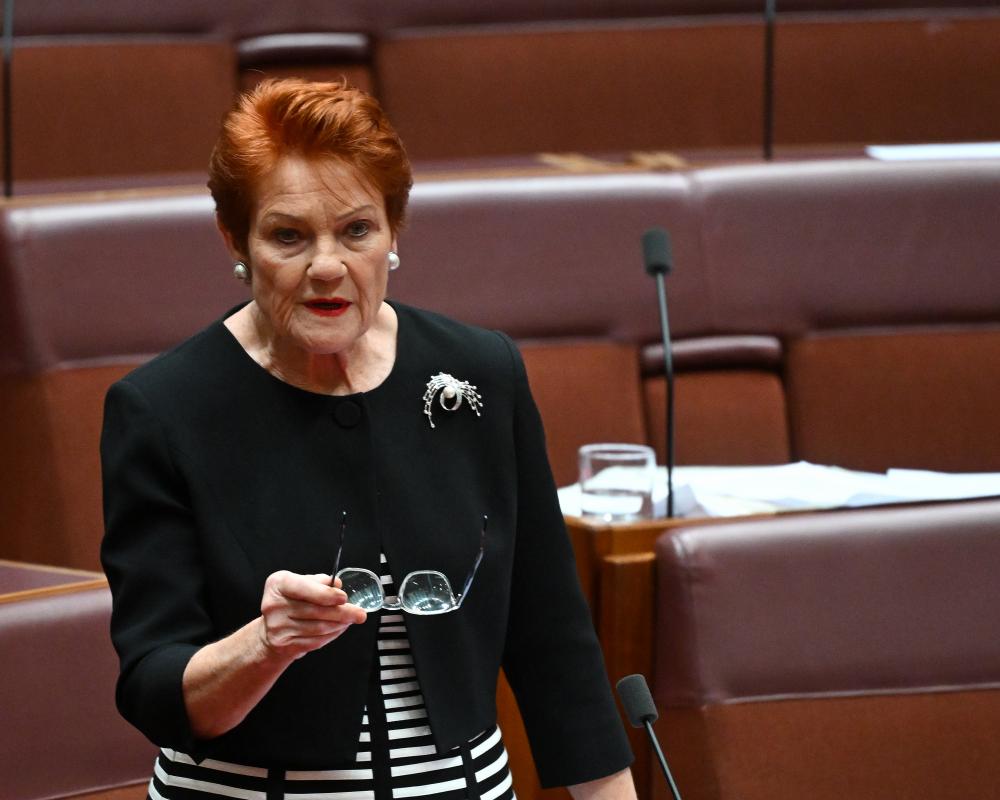 Pauline Hanson's Anti-Expert Politics Echo Brexit Playbook