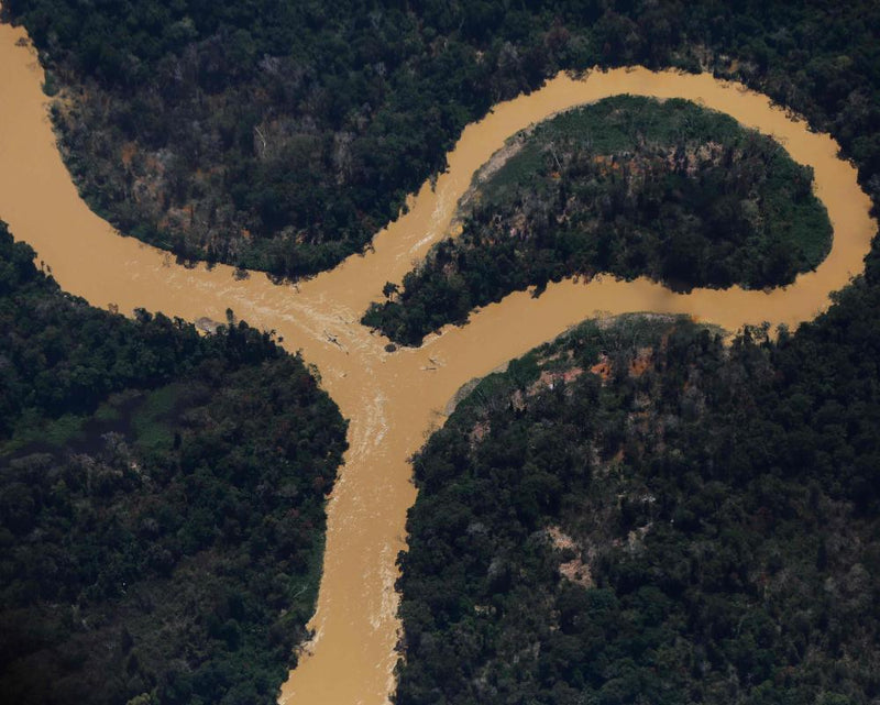 More Rain but Less River Water: The Climate Paradox Explained