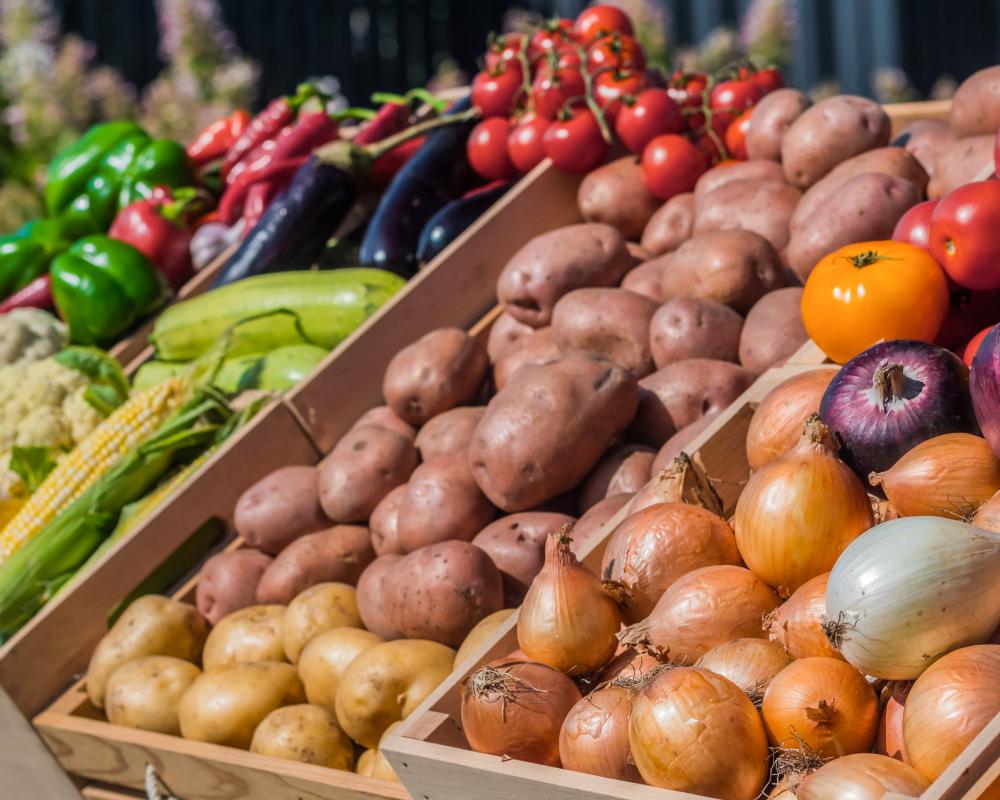 Higher Income Linked to Fresh Produce Consumption in US Adults