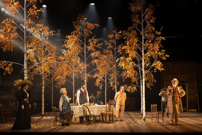 Uncle Vanya Review: Celebrity Casting Undercuts Chekhov's Classic