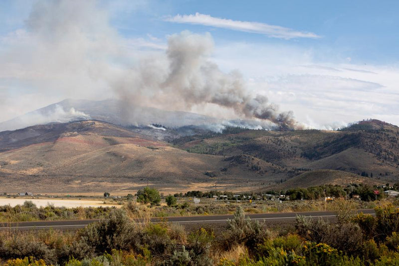 Reno Wildfire Forces 90,000 Evacuations and Destroys Homes