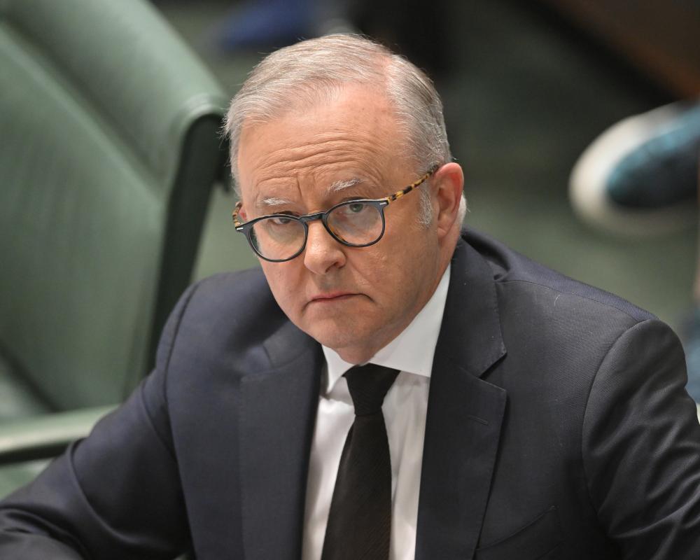 Albanese Promises Swift Response on MP Safety and Panic Buttons