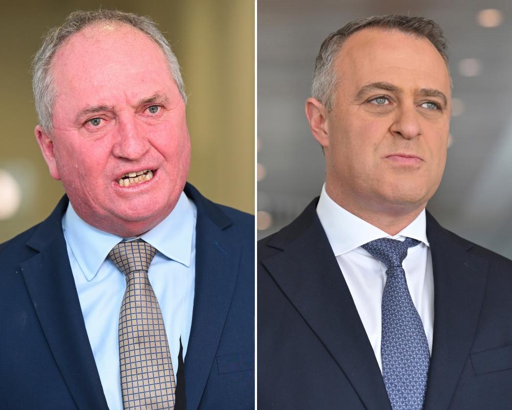 Barnaby Joyce's One Nation Deal Talks Denied by Senior Liberals