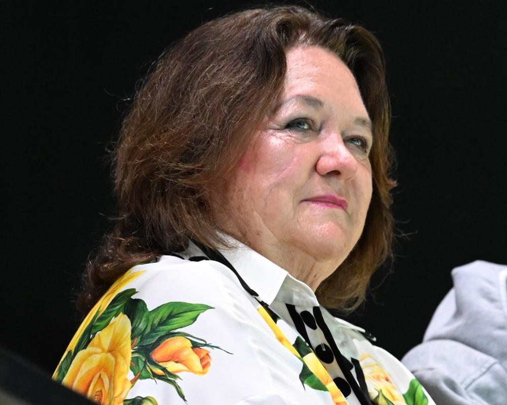 ABC Apologizes to Gina Rinehart Over Controversial Episode