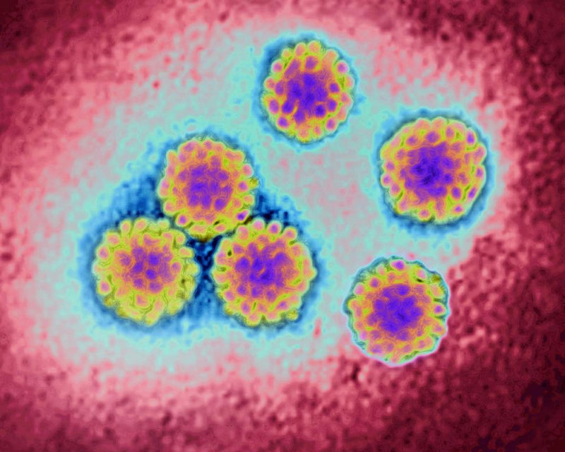 NHS Home Cervical Cancer Testing Kits: A Gamechanger for Women